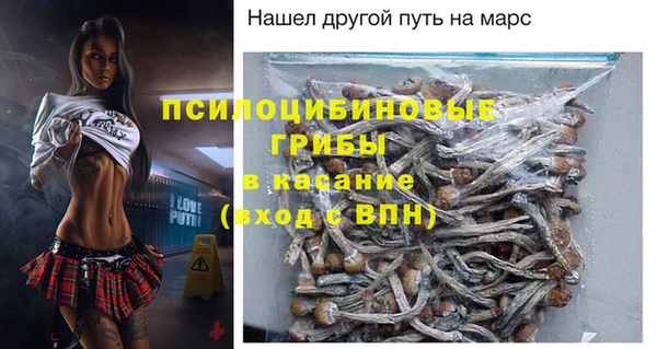 кокс Ельня