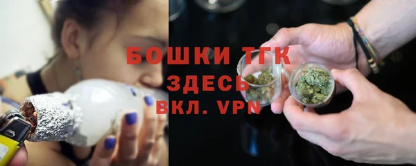 кокс Ельня
