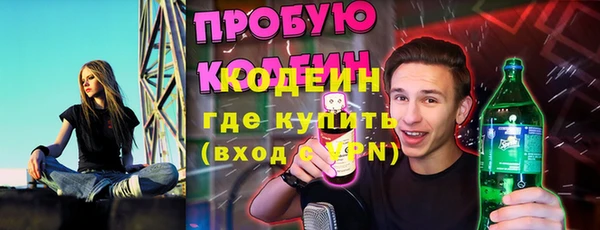 кокс Ельня