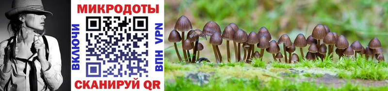 Галлюциногенные грибы Cubensis  как найти закладки  Калачинск 